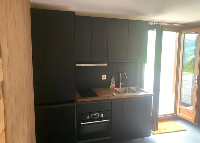 Apartment Emosson 2 *